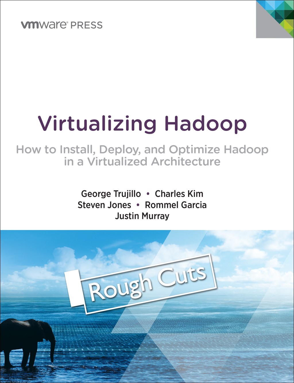 Virtualizing Hadoop: How to Install, Deploy, and Optimize Hadoop in a Virtualized Architecture, Rough Cuts