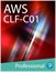 AWS Certified SysOps Administrator  Associate (SOA-C01) Training Course