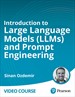 Introduction to Large Language Models (LLMs) and Prompt Engineering (Video Course)
