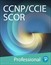 Cisco CCNP and CCIE Security Core SCOR 350-701 Training Course